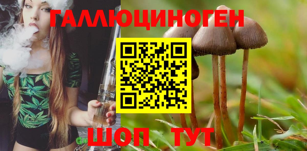 Псилоцибиновые грибы ЛСД  Псилоцибиновые грибы Psilocybine cubensis  Вход с VPN  Лесозаводск 