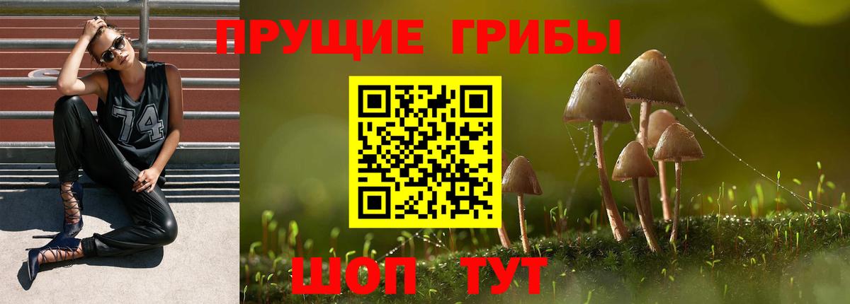 Галлюциногенные грибы прущие грибы Лесозаводск